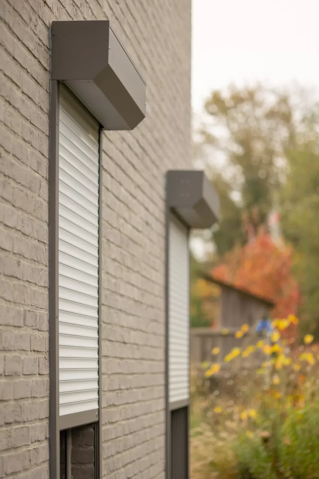 Order Portirolete.md